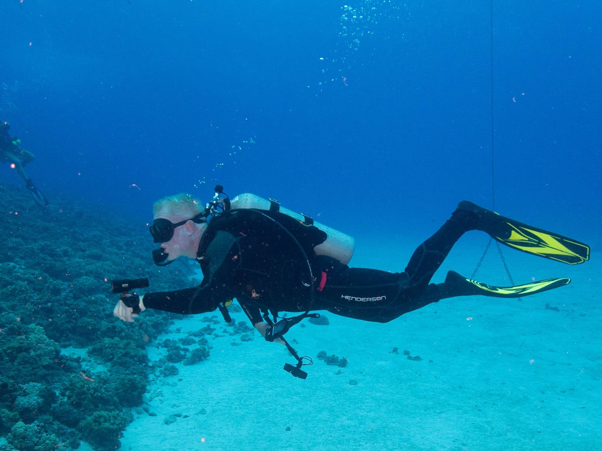 best-things-to-do-in-maui-top-10-maui-attractions-wildvoice