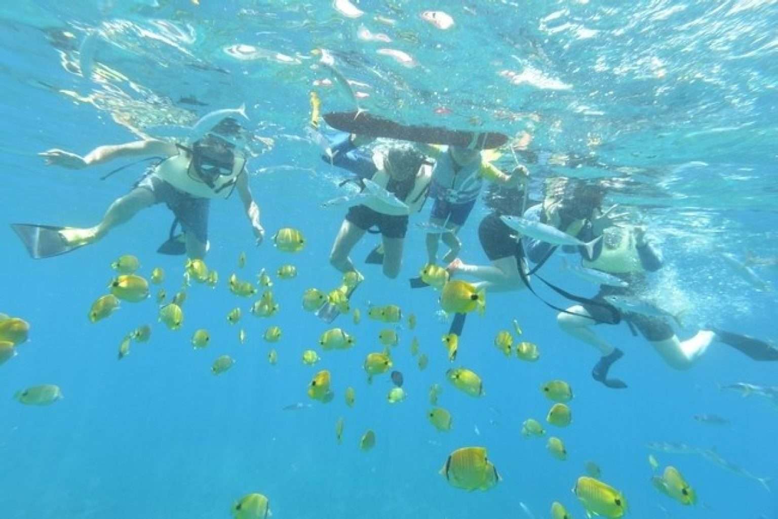 Historical kona coast double snorkel