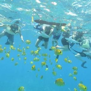 Historical kona coast double snorkel