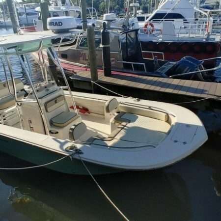 Private charter ful day trip wildvoice