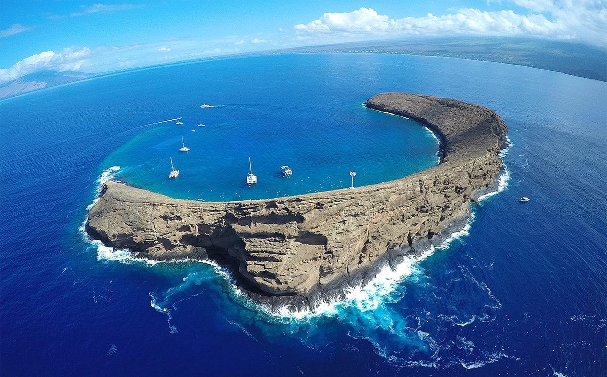 おかもとみわこ　版画　TOROPICAL Diving 26.1.18−2 Molokini Crater: The Ultimate Visitor's Guide
