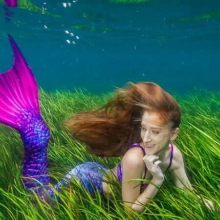 beginner’s mermaid certification course