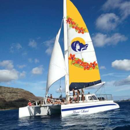 kona whale watch