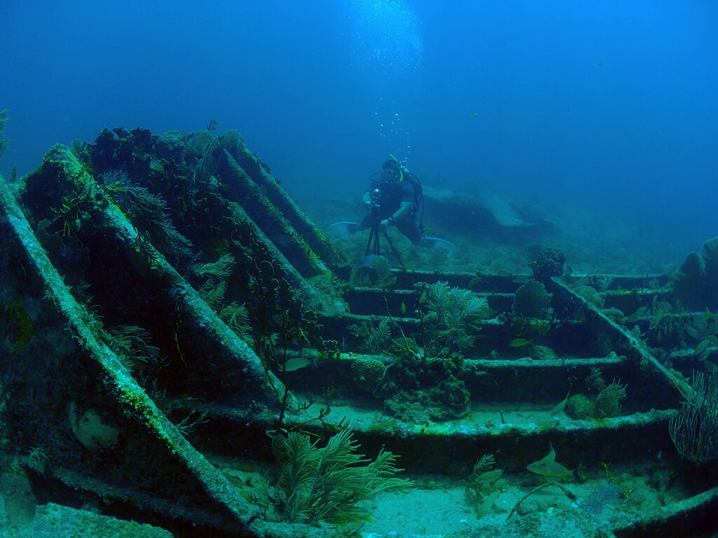Shipwreck Florida Sunken Secrets of the Sunshine State