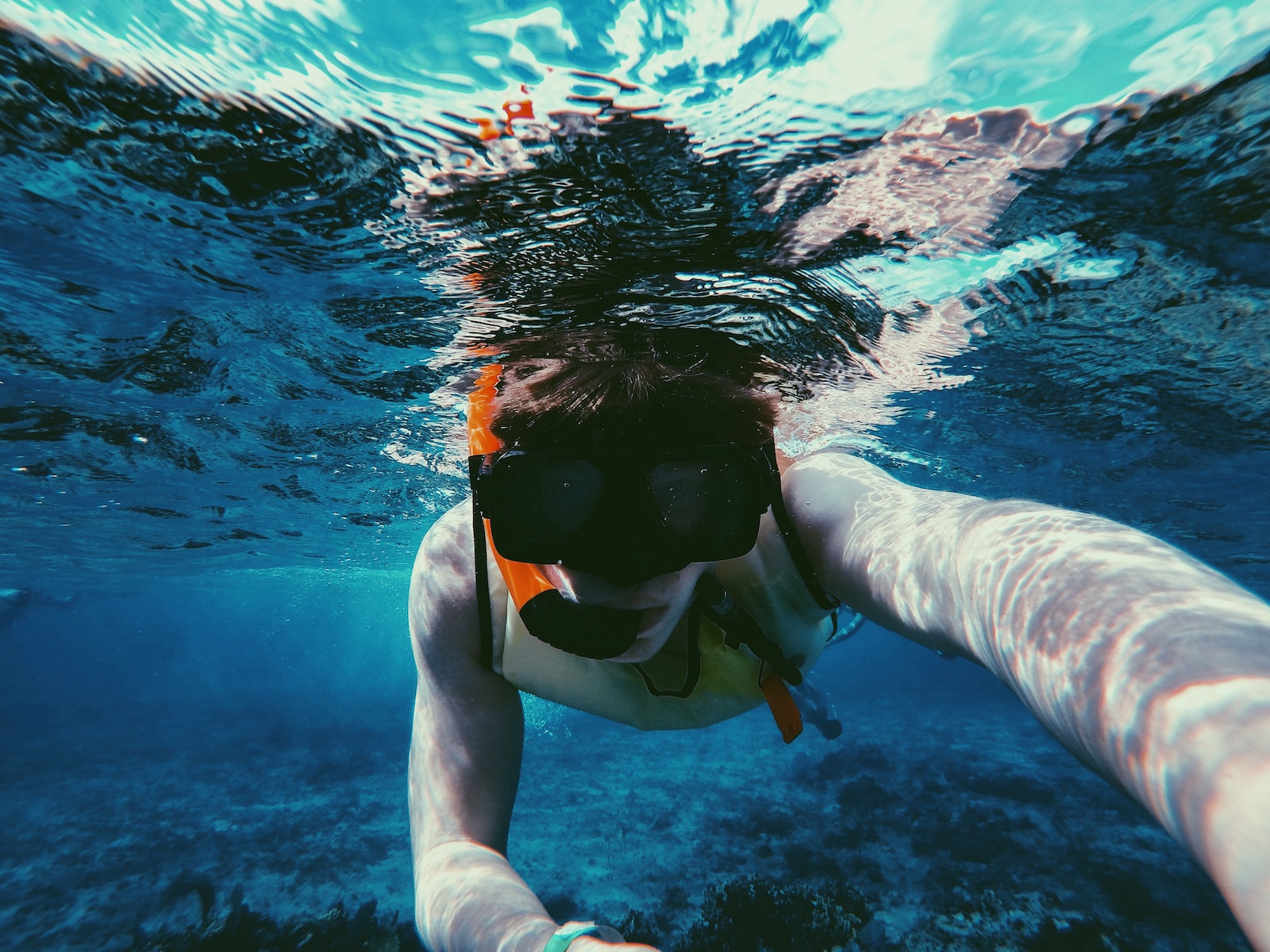 Snorkeling Marathon Fl? Explore Top 8 Spots for Scuba Diving