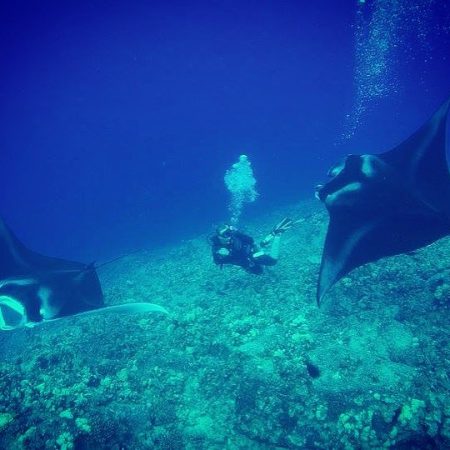 26067620 1951426171764398 7958067606231973888 n 2