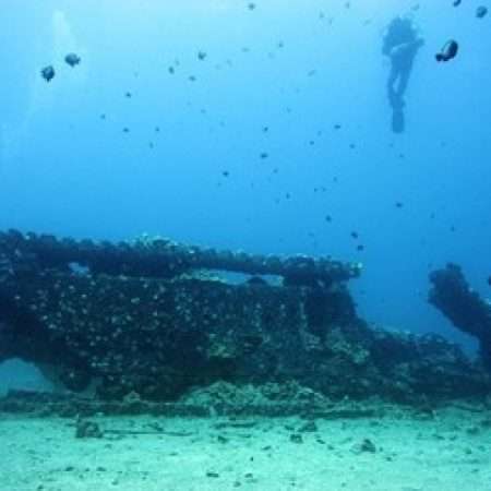 Fvcezqkbgpykvhnqrciusb 1200 80